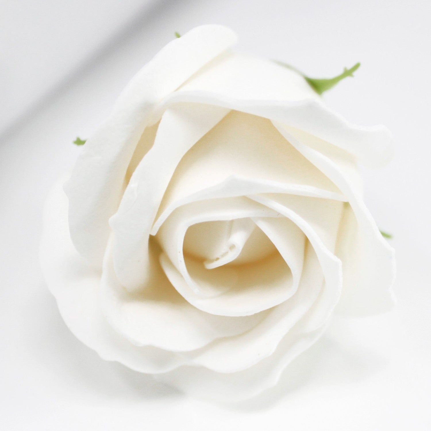 Petali di sapone